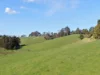 625 Boorool Road, Berrys Creek, Vic 3953-Image