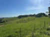 625 Boorool Road, Berrys Creek, Vic 3953-Image