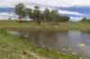 659 Bakers Creek Road, Gloucester, NSW 2422-Image