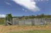 659 Bakers Creek Road, Gloucester, NSW 2422-Image