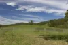 659 Bakers Creek Road, Gloucester, NSW 2422-Image