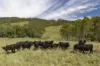 659 Bakers Creek Road, Gloucester, NSW 2422-Image