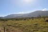 67 Maconachies Road, Majors Creek, Qld 4816-Image