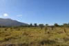 67 Maconachies Road, Majors Creek, Qld 4816-Image