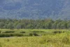 67 Maconachies Road, Majors Creek, Qld 4816-Image