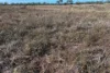 67 Maconachies Road, Majors Creek, Qld 4816-Image