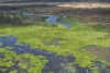 67 Maconachies Road, Majors Creek, Qld 4816-Image