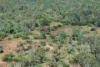 67 Maconachies Road, Majors Creek, Qld 4816-Image