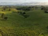 67 Seamark Road, Tarzali, Qld 4885-Image