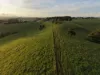 67 Seamark Road, Tarzali, Qld 4885-Image