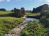 67 Seamark Road, Tarzali, Qld 4885-Image