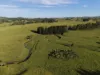 67 Seamark Road, Tarzali, Qld 4885-Image