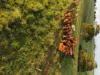 67 Seamark Road, Tarzali, Qld 4885-Image