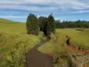 67 Seamark Road, Tarzali, Qld 4885-Image