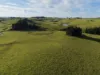 67 Seamark Road, Tarzali, Qld 4885-Image