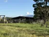 67 Seamark Road, Tarzali, Qld 4885-Image