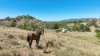 6702A MANILLA ROAD, Red Hill, NSW 2347-Image