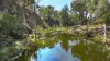 6702A MANILLA ROAD, Red Hill, NSW 2347-Image
