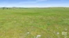 673 Holmes Road, Kingston Se, SA 5275-Image