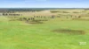 673 Holmes Road, Kingston Se, SA 5275-Image