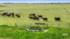 673 Holmes Road, Kingston Se, SA 5275-Image