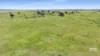 673 Holmes Road, Kingston Se, SA 5275-Image
