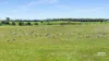 673 Holmes Road, Kingston Se, SA 5275-Image