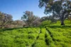 676 Gocup Road, Tumut, NSW 2720-Image