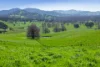 676 Gocup Road, Tumut, NSW 2720-Image