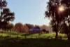 676 Gocup Road, Tumut, NSW 2720-Image
