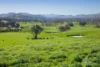 676 Gocup Road, Tumut, NSW 2720-Image