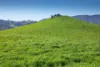 676 Gocup Road, Tumut, NSW 2720-Image