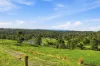68 Creeleys Road, Sassafras, Tas 7307-Image
