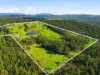 68 Creeleys Road, Sassafras, Tas 7307-Image