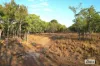 680 Miles Road, Eva Valley, NT 0822-Image