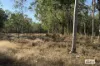 680 Miles Road, Eva Valley, NT 0822-Image