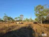 680 Miles Road, Eva Valley, NT 0822-Image