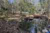 680 Miles Road, Eva Valley, NT 0822-Image