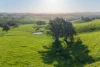 686 Killingworth Road, Killingworth, Vic 3717-Image