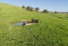 686 Killingworth Road, Killingworth, Vic 3717-Image