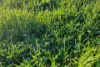 686 Killingworth Road, Killingworth, Vic 3717-Image