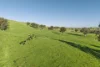 686 Killingworth Road, Killingworth, Vic 3717-Image