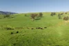 686 Killingworth Road, Killingworth, Vic 3717-Image