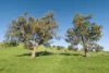 686 Killingworth Road, Killingworth, Vic 3717-Image