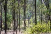 69 Clare Hills Road, Warwick, Qld 4370-Image