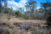 69 Clare Hills Road, Warwick, Qld 4370-Image