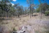 69 Clare Hills Road, Warwick, Qld 4370-Image
