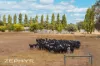 696 Price Road, Boallia, WA 6280-Image