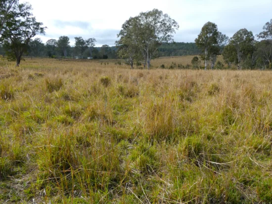 70 Bairds Road, Bonalbo, NSW 2469