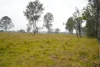 70 Bairds Road, Bonalbo, NSW 2469-Image